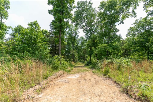 Cedar Creek Tract 16