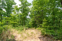 Cedar Creek Tract 16