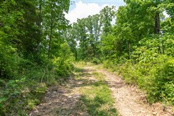property photo for Cedar Creek Tract 17, 10.9 acres for sale in Perry County, Tennessee
