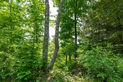 property photo for Cedar Creek Tract 17, 10.9 acres for sale in Perry County, Tennessee