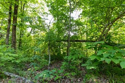 property photo for Cedar Creek Tract 17, 10.9 acres for sale in Perry County, Tennessee