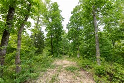 property photo for Cedar Creek Tract 18, 9.1 acres for sale in Perry County, Tennessee