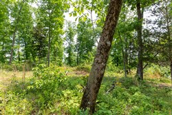 property photo for Cedar Creek Tract 18, 9.1 acres for sale in Perry County, Tennessee