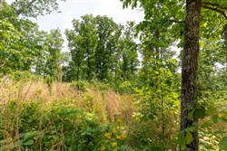 property photo for Cedar Creek Tract 18, 9.1 acres for sale in Perry County, Tennessee