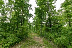 property photo for Cedar Creek Tract 18, 9.1 acres for sale in Perry County, Tennessee