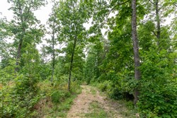 property photo for Cedar Creek Tract 19, 8.44 acres for sale in Perry County, Tennessee