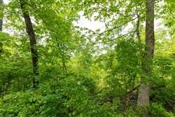 property photo for Cedar Creek Tract 19, 8.44 acres for sale in Perry County, Tennessee