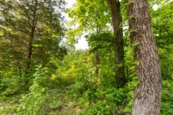 property photo for Cedar Creek Tract 19, 8.44 acres for sale in Perry County, Tennessee