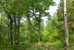 property photo for Cedar Creek Tract 2, 4.75 acres for sale in Perry County, Tennessee