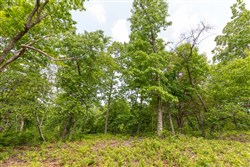 property photo for Cedar Creek Tract 2, 4.75 acres for sale in Perry County, Tennessee
