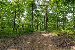 property photo for Cedar Creek Tract 2, 4.75 acres for sale in Perry County, Tennessee