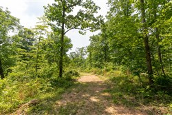 property photo for Cedar Creek Tract 20, 5.03 acres for sale in Perry County, Tennessee