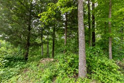 property photo for Cedar Creek Tract 20, 5.03 acres for sale in Perry County, Tennessee