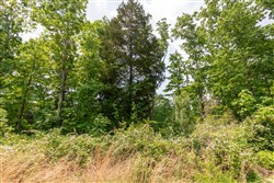 property photo for Cedar Creek Tract 20, 5.03 acres for sale in Perry County, Tennessee
