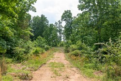 property photo for Cedar Creek Tract 20, 5.03 acres for sale in Perry County, Tennessee