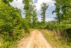 Cedar Creek Tract 21