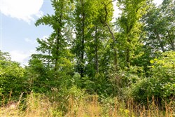 Cedar Creek Tract 21