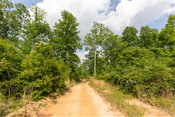 Cedar Creek Tract 21