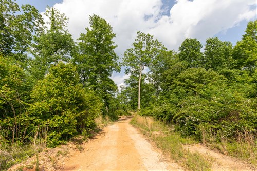 Cedar Creek Tract 21