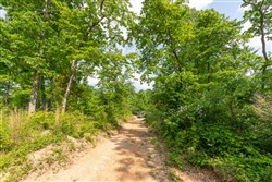 Cedar Creek Tract 21