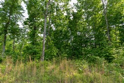 Cedar Creek Tract 21