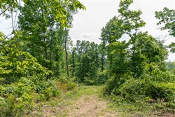 property photo for Cedar Creek Tract 22, 8.52 acres for sale in Perry County, Tennessee