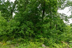 property photo for Cedar Creek Tract 22, 8.52 acres for sale in Perry County, Tennessee