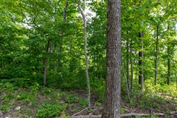 property photo for Cedar Creek Tract 22, 8.52 acres for sale in Perry County, Tennessee