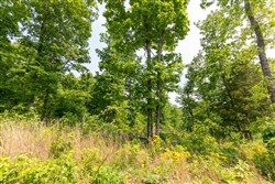 property photo for Cedar Creek Tract 22, 8.52 acres for sale in Perry County, Tennessee