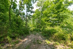 property photo for Cedar Creek Tract 23, 11.2 acres for sale in Perry County, Tennessee