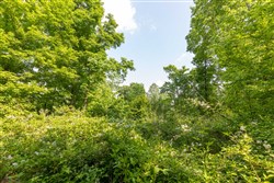 property photo for Cedar Creek Tract 23, 11.2 acres for sale in Perry County, Tennessee