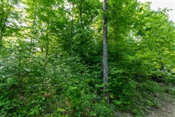 property photo for Cedar Creek Tract 23, 11.2 acres for sale in Perry County, Tennessee