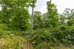 property photo for Cedar Creek Tract 24, 5.03 acres for sale in Perry County, Tennessee