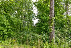 property photo for Cedar Creek Tract 24, 5.03 acres for sale in Perry County, Tennessee