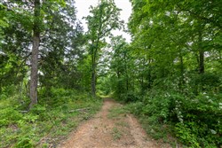 property photo for Cedar Creek Tract 24, 5.03 acres for sale in Perry County, Tennessee