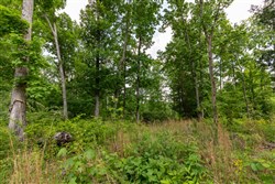 property photo for Cedar Creek Tract 24, 5.03 acres for sale in Perry County, Tennessee