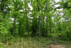 property photo for Cedar Creek Tract 24, 5.03 acres for sale in Perry County, Tennessee