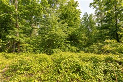 Cedar Creek Tract 25