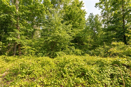 Cedar Creek Tract 25