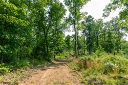 Cedar Creek Tract 25