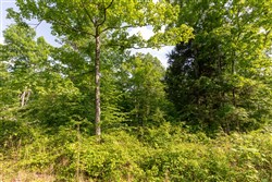 Cedar Creek Tract 25