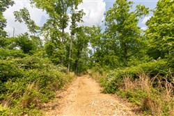 property photo for Cedar Creek Tract 26, 5.76 acres for sale in Perry County, Tennessee