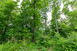 property photo for Cedar Creek Tract 26, 5.76 acres for sale in Perry County, Tennessee