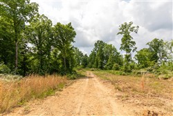 property photo for Cedar Creek Tract 27, 5.44 acres for sale in Perry County, Tennessee