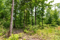 property photo for Cedar Creek Tract 27, 5.44 acres for sale in Perry County, Tennessee