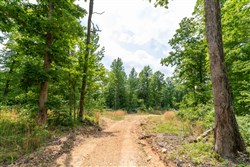 property photo for Cedar Creek Tract 27, 5.44 acres for sale in Perry County, Tennessee