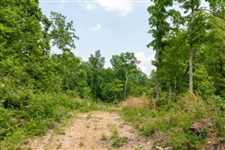 property photo for Cedar Creek Tract 27, 5.44 acres for sale in Perry County, Tennessee