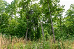 property photo for Cedar Creek Tract 27, 5.44 acres for sale in Perry County, Tennessee
