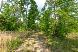 property photo for Cedar Creek Tract 28, 9.94 acres for sale in Perry County, Tennessee