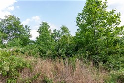 property photo for Cedar Creek Tract 28, 9.94 acres for sale in Perry County, Tennessee